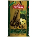 Hyson Soursup OPA zelený čaj 100 g