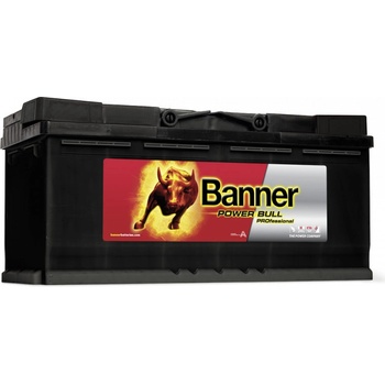 Banner Power Bull Professional 12V 100Ah 800A P100 40