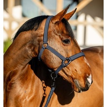 Harrys Horse Ohlávka s vodítkom pre koňa INITIAL Fialová