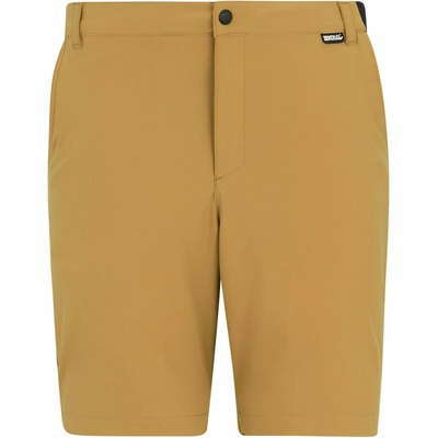 Regatta Anti-Insect Travel Light Shorts hnědá