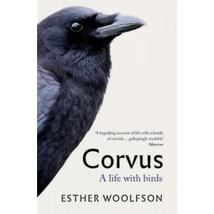 Corvus | Esther Woolfson (ISBN: 9781783784486)