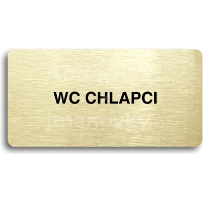 ACCEPT Piktogram WC CHLAPCI - zlatá tabulka - černý tisk bez rámečku