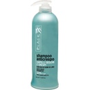 Black Anti-Frizz Shampoo 500 ml