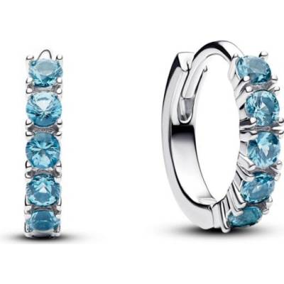 Pandora náušnice 293849C01