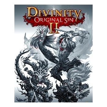 Divinity: Original Sin 2