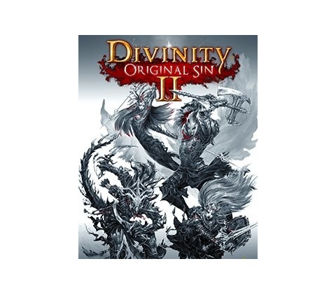 Divinity: Original Sin 2