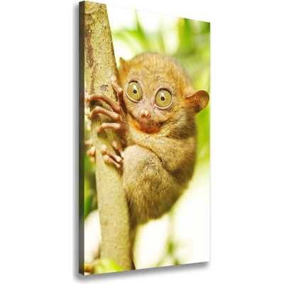 Vertikálny foto obraz canvas Nártoun celebeské 50x100 cm