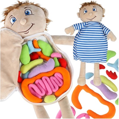 KIK KX2954 Edukačná anatomický model chlapec