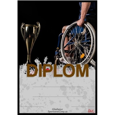 DV05c Diplom handicap