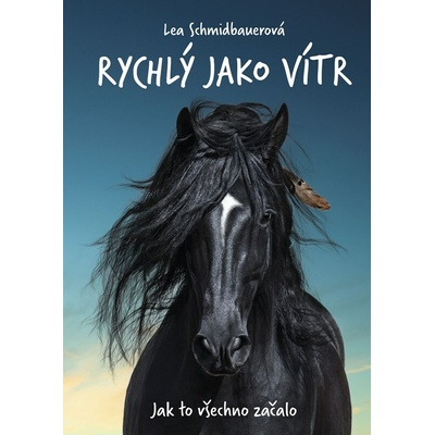 Rychlý jako vítr: Jak to všechno začalo