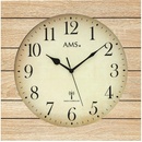 AMS 5551