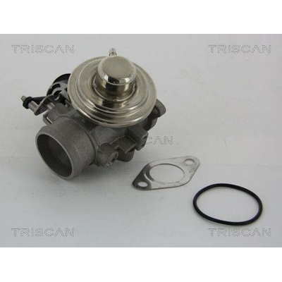AGR-Ventil TRISCAN 8813 29001 (881329001)