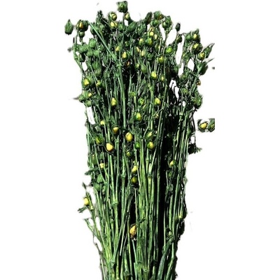 Silene zelená 100 g