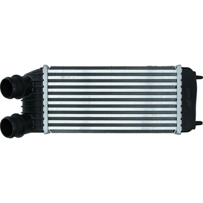 Chladič plniaceho vzduchu KAMOKA 7750069