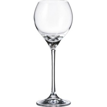Crystalite Bohemia CARDUELIS POHÁR NA BIELE VÍNO 6 x 240 ml