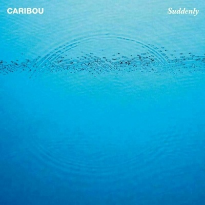 Caribou - Suddenly (LP) (4250506834715)