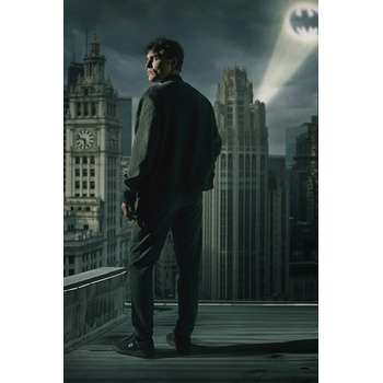 CAT Footwear Маратонки CAT Footwear x BATMAN HEX+ (P111710)