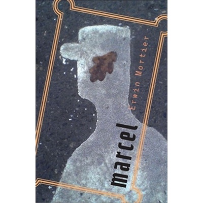 Slídil Kniha - Nabokov Vladimir