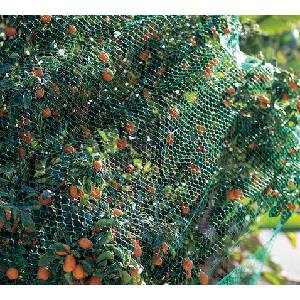 Nortene Мрежа срещу птици Nortene BIRDNET, 2 × 50 м