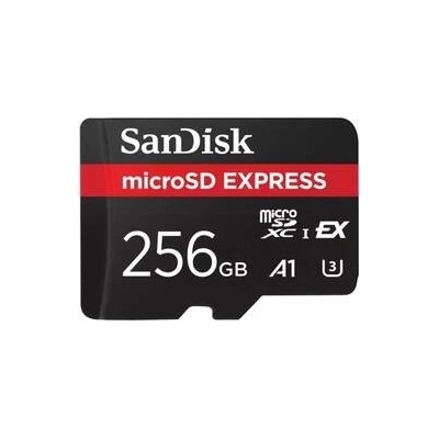 SanDisk microSDXC Express 256GB SDSQXFN-256G-GN4NN