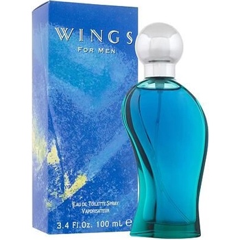 Giorgio Beverly Hills Wings toaletná voda pánska 100 ml