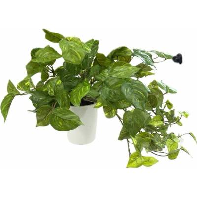 Sconto Umelá rastlina v kvetináči POTHOS zelená