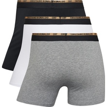 Cristiano Ronaldo CR7 Basic Trunk, 3pack