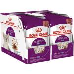 Royal Canin FHN Sensory Feel Gravy 24 x 85 г
