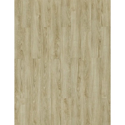 Breno Moduleo Roots 40 Midland Oak 22240 3,881 m²
