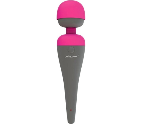 Palmpower Personal Massager