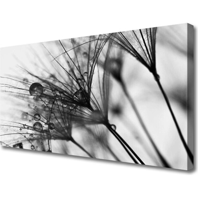 Obraz na plátně Abstrakce Rostlina 100x50 cm