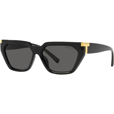 Tiffany & Co Tiffany & Co. TF4205U 8001S4 (TF4205U 8001S4)