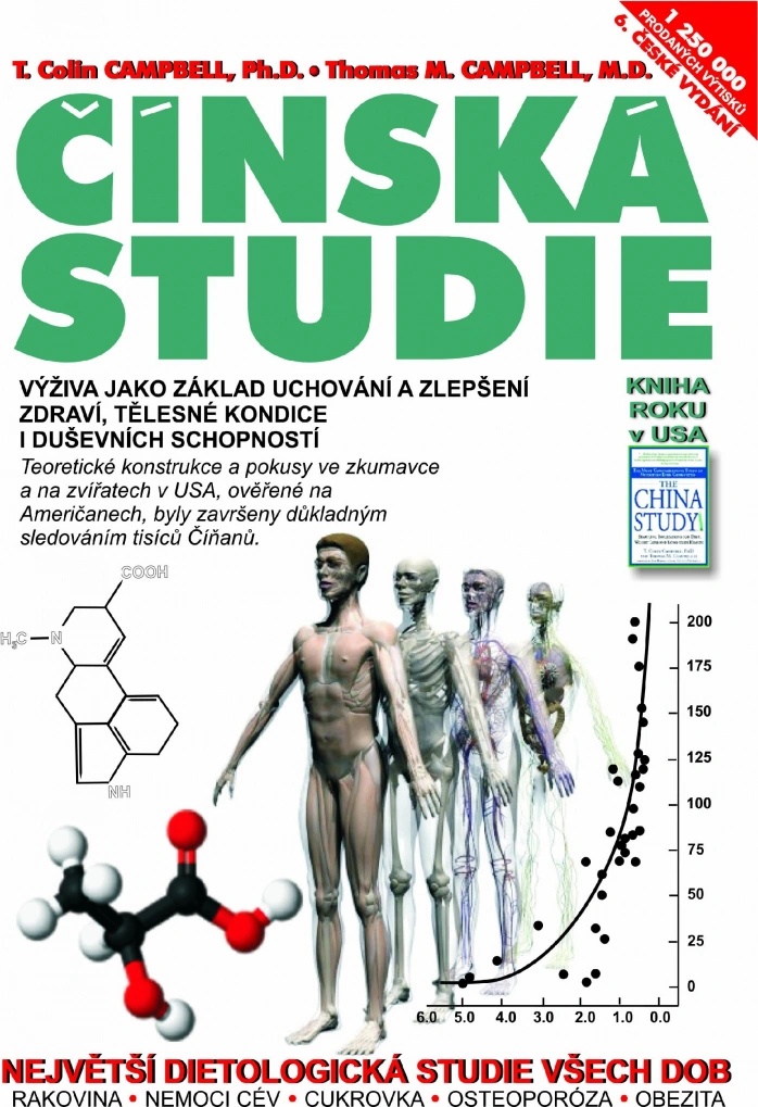 Čínská studie