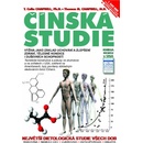 Čínská studie