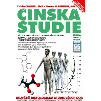 Čínská studie
