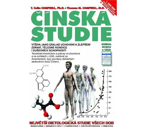 Čínská studie