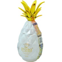 Pinaq Colada Mini 17% 0,05L (čistá fľaša)