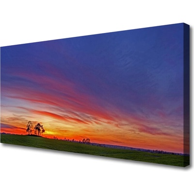 Obraz na plátně Krajina Pole Stromy Příroda 100x50 cm