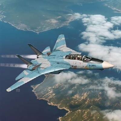 Academy F-14A IRIAF 1:72