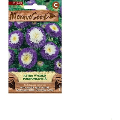 Semínka MoravoSeed Astra čínská vysoká pomponkovitá, modro-bílá 00531
