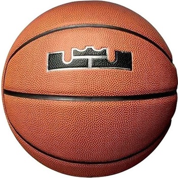 Nike Lebron All Court