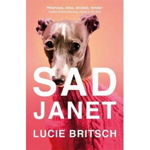 Sad Janet | Lucie Britsch (ISBN: 9781409198666)