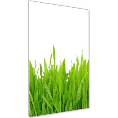 Vertikálny fotoobraz na skle Zelená tráva 50x100 cm