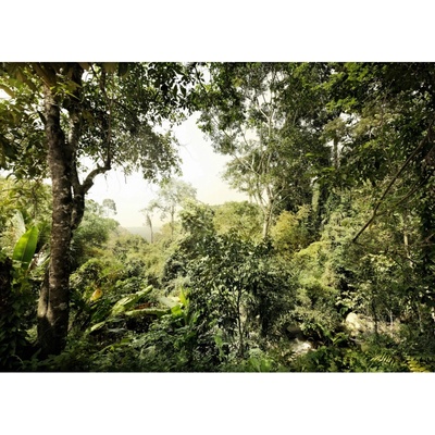 Komar Vliesová fototapeta Djungle rozměry 350 x 250 cm