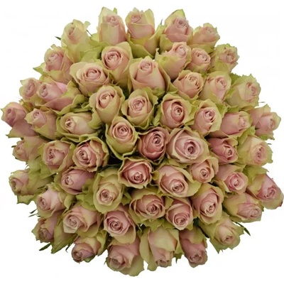Kytice 55 růžových růží PINK ATHENA 50cm