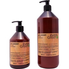 Every Green Anti-oxidant kondicionér 1000 ml