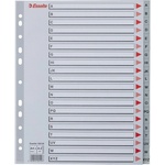 ESSELTE Регистър ESSELTE A/4 с пластмасова сърцевина maxi A-Z 100129 (100129)