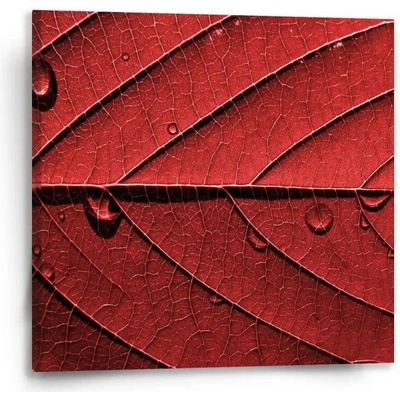 Sablio Obraz Červený list - 50x50 cm