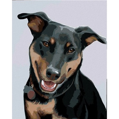 zuty Malování Podle Čísel Rotvajler 2 Myroslava Voloschuk 40 x 50 Cm Plátno