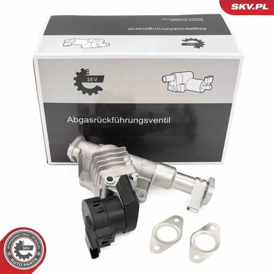 ESEN SKV AGR ventil ESN 14SKV287